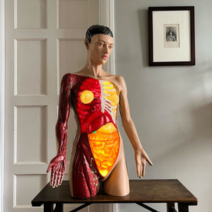 A rare (life sized) illuminated Anatomy Torso Model by Somso. Retailed in the UK by Adam Rouilly. Plug her in and her internal organs, breasts and arm veins all light up in a warm glow. Super cool and super rare - SHOP NOW - www.intovintage.co.uk