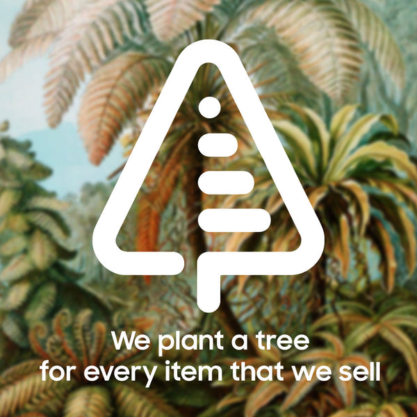 Every Antique & Vintage item that we sell through our website leads to the planting of mangrove trees in Madagascar. We contribute a percentage of each sale towards tree planting because reforestation efforts revive natural habitats, improve coral reef health, support local livelihoods and aid in the fight against climate change - www.intovintage.co.uk