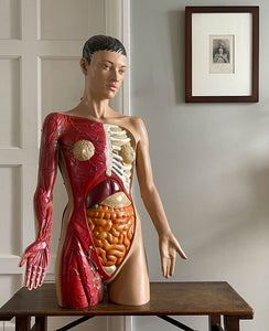 A rare (life sized) illuminated Anatomy Torso Model by Somso. Retailed in the UK by Adam Rouilly. Plug her in and her internal organs, breasts and arm veins all light up in a warm glow. Super cool and super rare - SHOP NOW - www.intovintage.co.uk