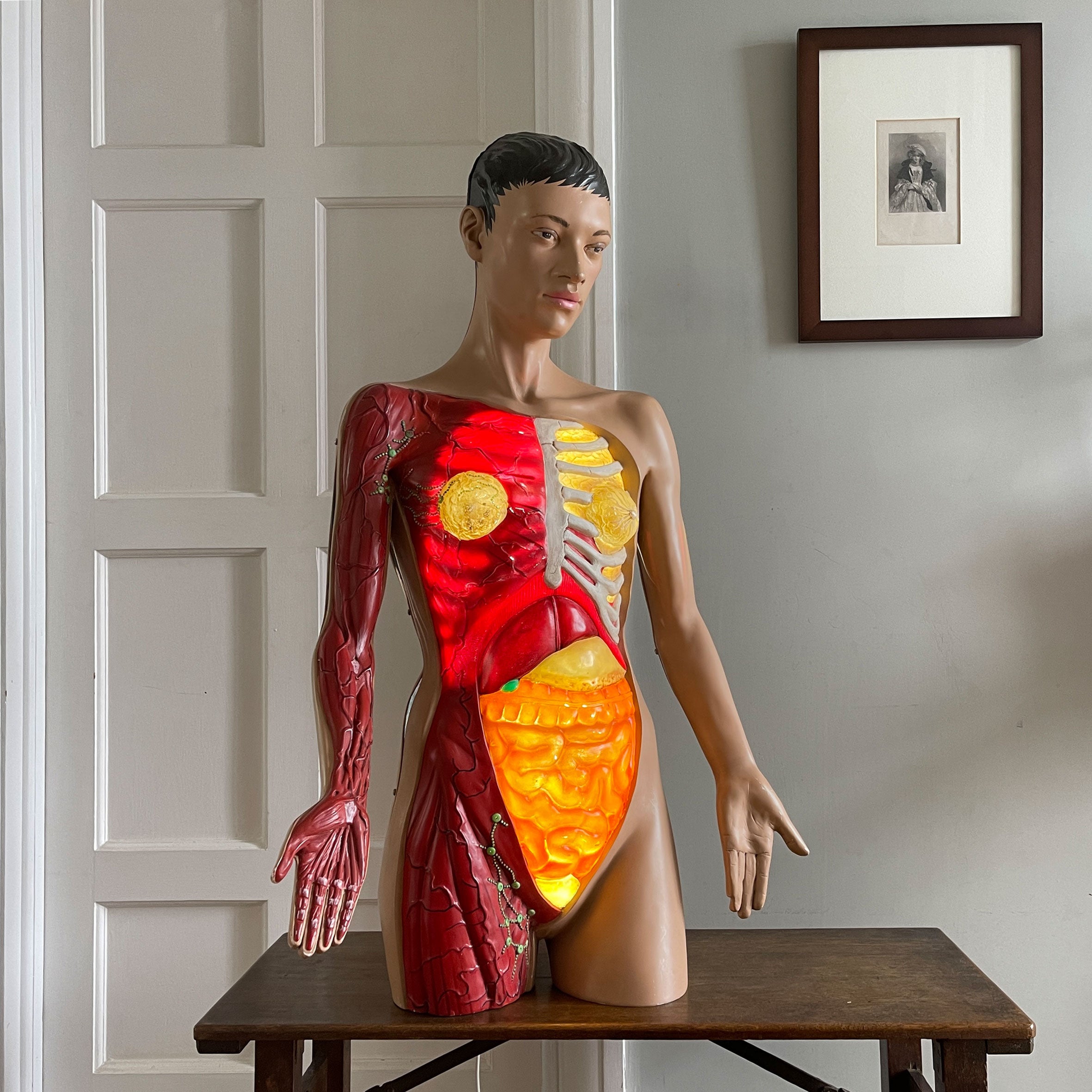 A rare (life sized) illuminated Anatomy Torso Model by Somso. Retailed in the UK by Adam Rouilly. Plug her in and her internal organs, breasts and arm veins all light up in a warm glow. Super cool and super rare - SHOP NOW - www.intovintage.co.uk