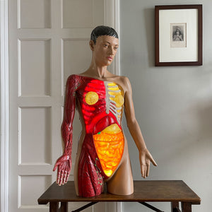 A rare (life sized) illuminated Anatomy Torso Model by Somso. Retailed in the UK by Adam Rouilly. Plug her in and her internal organs, breasts and arm veins all light up in a warm glow. Super cool and super rare - SHOP NOW - www.intovintage.co.uk