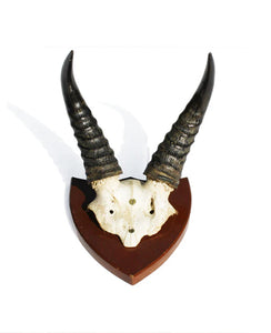 Vintage African Horns. Find this and other Beautiful Vintage items for you home at Intovintage.co.uk.