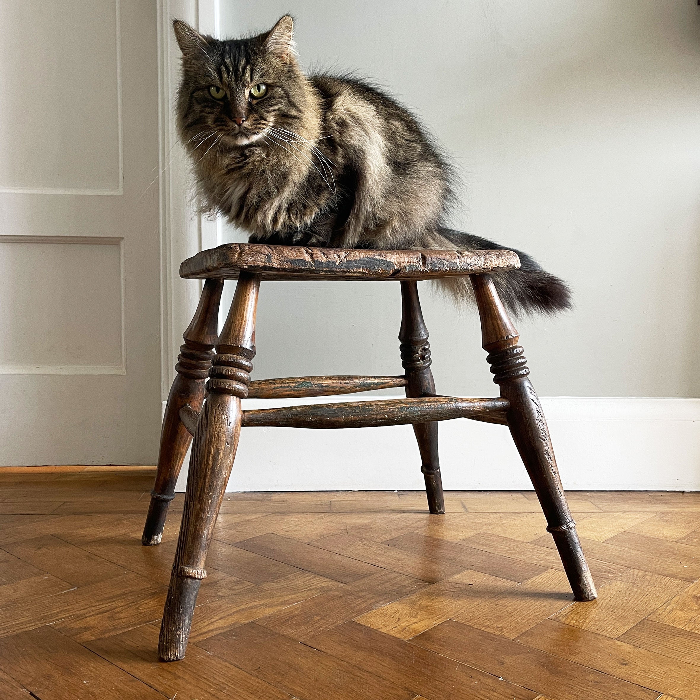 A beautiful time-worn Victorian Elm stool, with marvellous age and wear. Having ring turned legs and a very well worn seat. A great looking stool that would compliment and setting.&nbsp - SHOP NOW - www.intovintage.co.uk