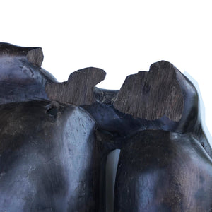 Unusual Tribal Carving in Ebony