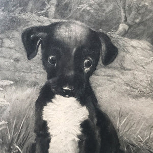 Titled 'Who's afraid?' this charming black and white print of a Dog and his Froggy pal will keep you guessing! SHOP NOW - www.intovintage.co.uk