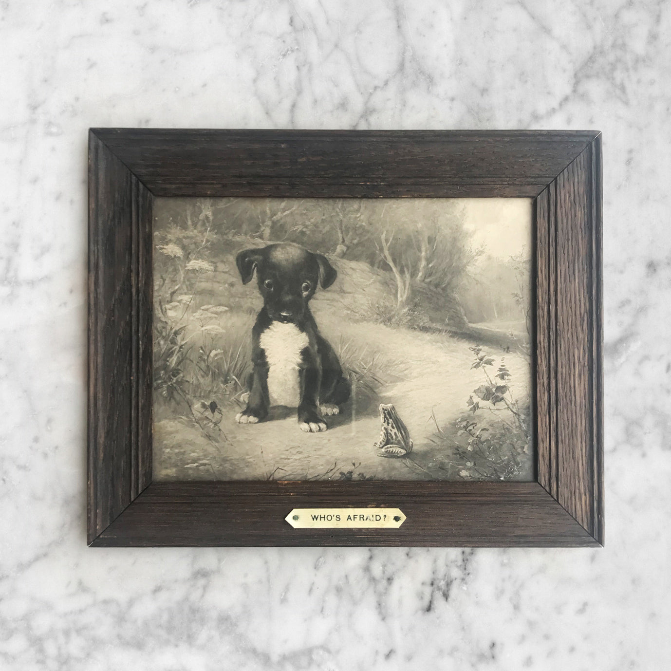 Titled 'Who's afraid?' this charming black and white print of a Dog and his Froggy pal will keep you guessing! SHOP NOW - www.intovintage.co.uk
