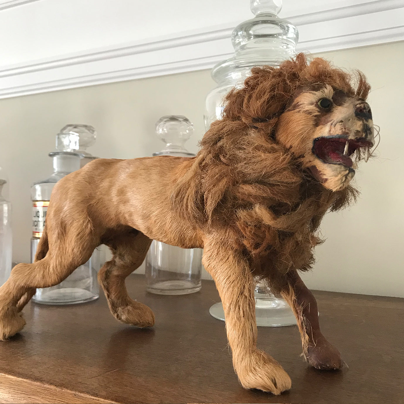 Victorian Model Lion