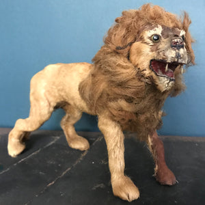 Victorian Model Lion