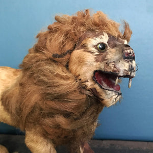 Victorian Model Lion