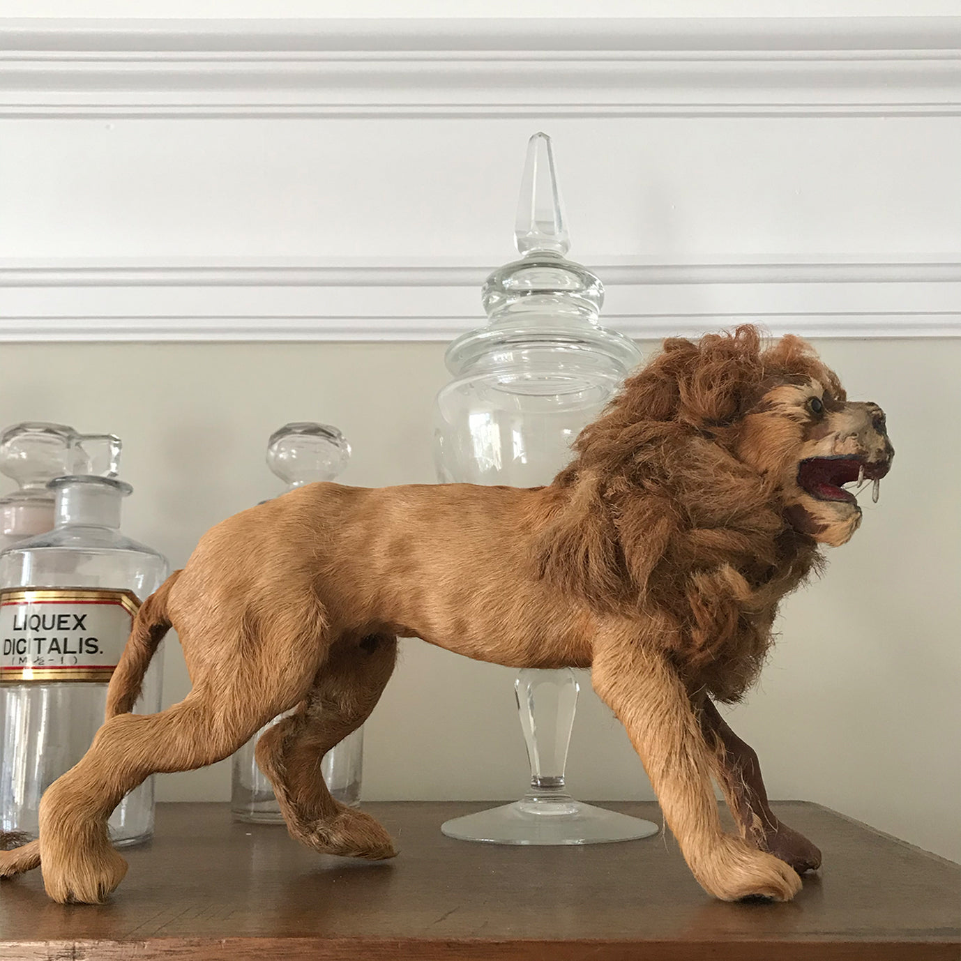 Victorian Model Lion