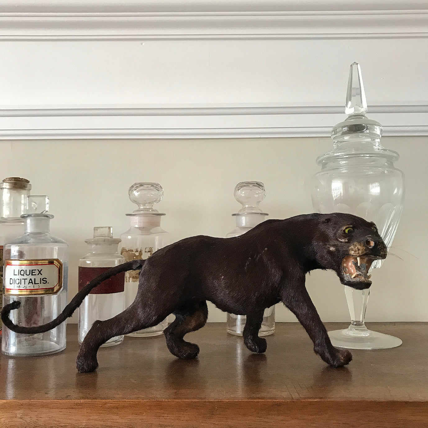 A superb, sleekly modelled Victorian Black Panther. With fierce green eyes, sharp pointy fangs and fantastic whiskers. A super fierce item! - SHOP NOW - www.intovintage.co.uk