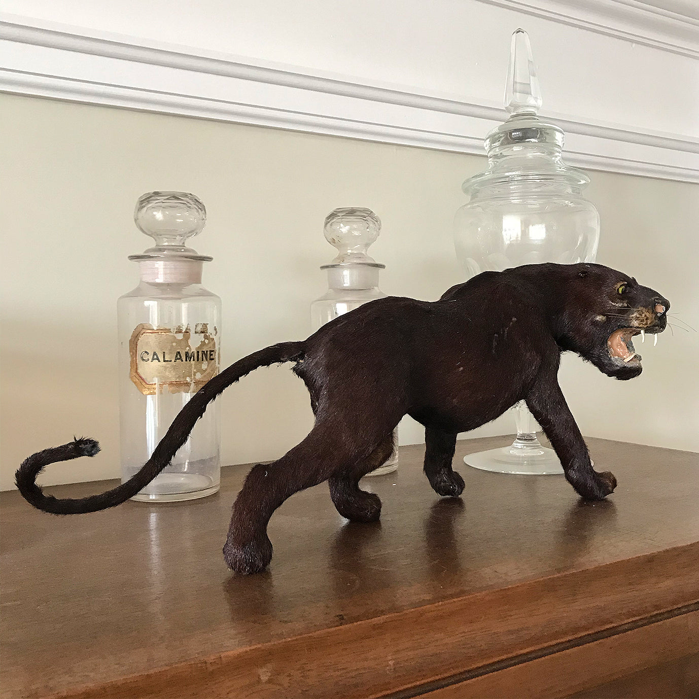 A superb, sleekly modelled Victorian Black Panther. With fierce green eyes, sharp pointy fangs and fantastic whiskers. A super fierce item! - SHOP NOW - www.intovintage.co.uk