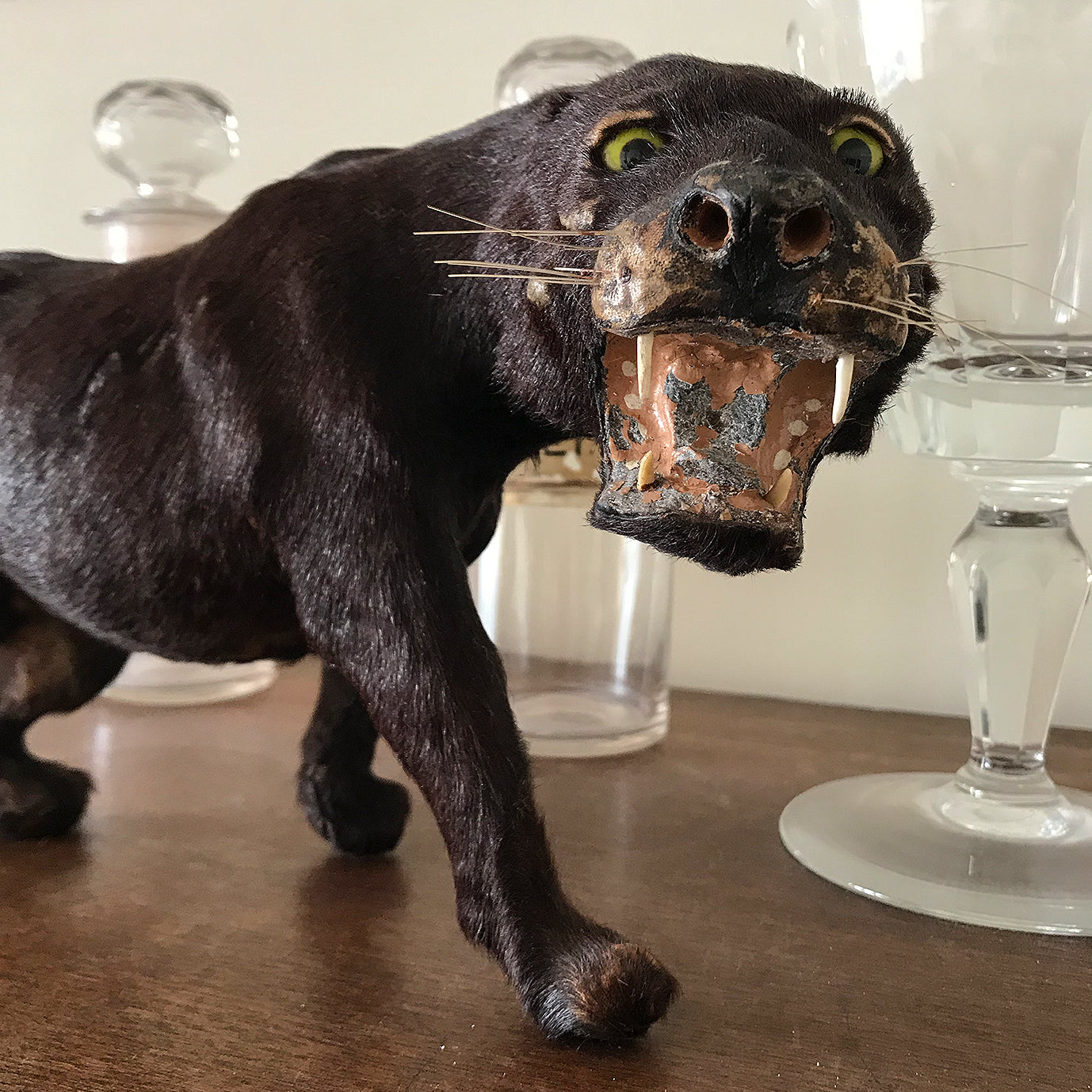 A superb, sleekly modelled Victorian Black Panther. With fierce green eyes, sharp pointy fangs and fantastic whiskers. A super fierce item! - SHOP NOW - www.intovintage.co.uk