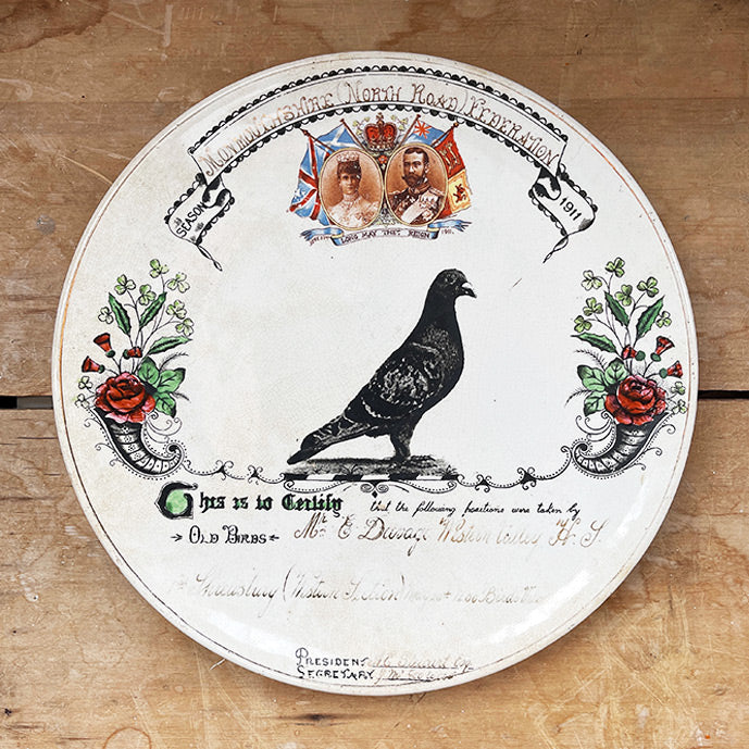 An Edwardian Racing Pigeon Prize Plate. Dated 1911 and from the Monmouthshire area. Showing a magnificent racing pigeon! It has mounting holes to the back so easily hangable. - SHOP NOW - www.intovintage.co.uk