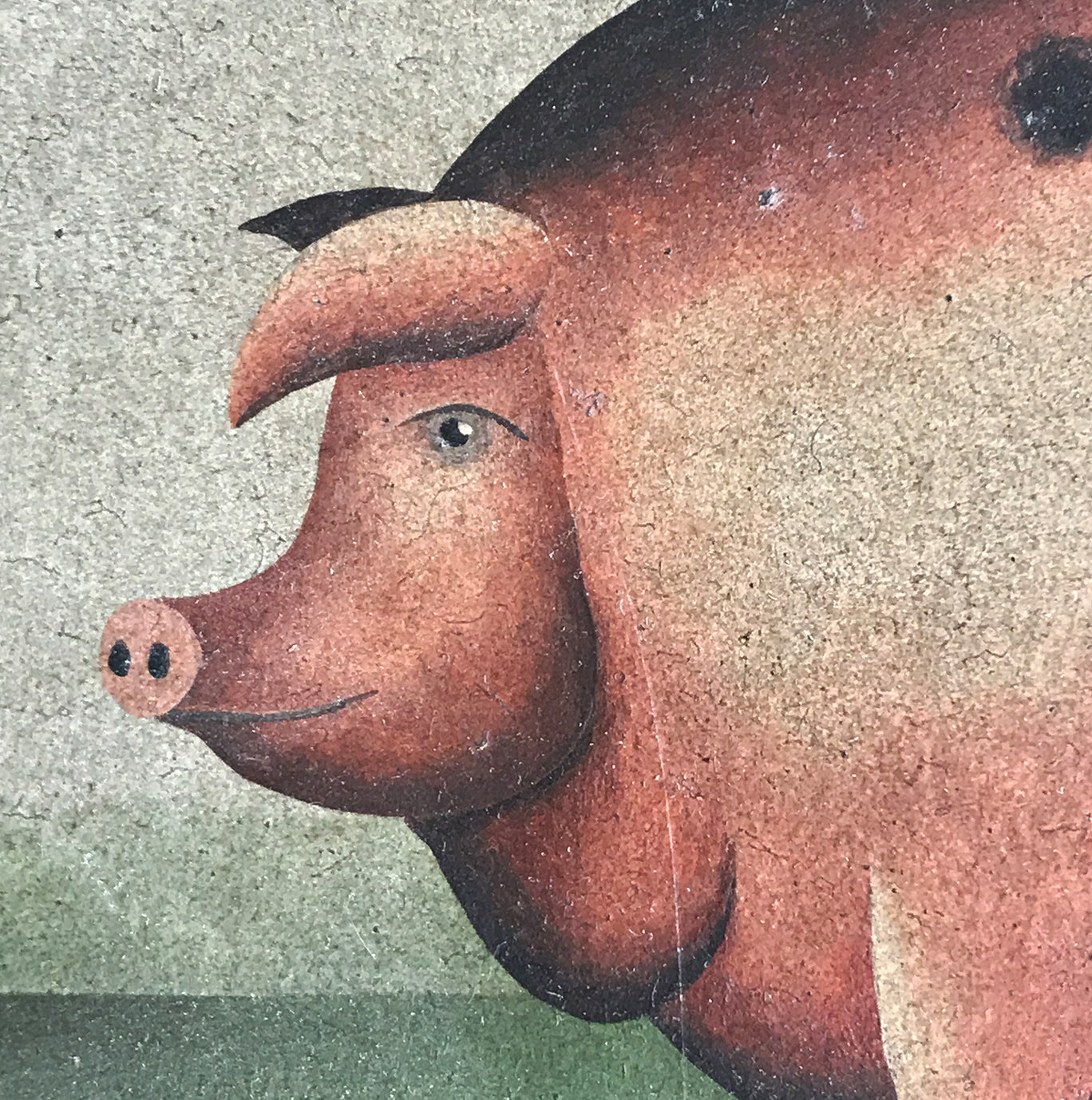 Plump Pig Portrait by Haydn Cornner
