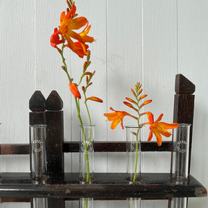 An Edwardian Test Tube Rack with seven Pyrex test tubes. Nicely constructed with a cool look. Ideal for small sprigs of flowers - SHOP NOW - www.intovintage.co.uk