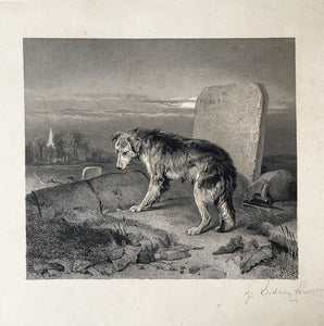 Antique Etching of a very sad dog, loyally standing by his Shepherd masters grave. The print was produced and signed in pencil by G Sidney Hunt with the reverse also been signed 'Shepherds Grave PA 1885'. The print is mounted on to an original canvas - SHOP NOW - www.intovintage.co.uk
