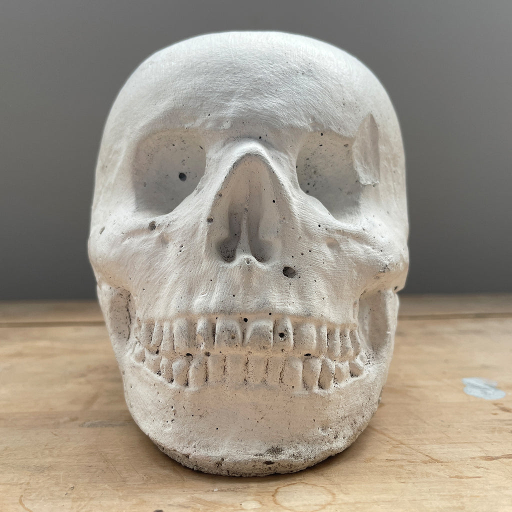Have a bit of grizzly fun with this White Painted Stone Skull. A nice size and a great decorative look! SHOP NOW - www.intovintage.co.uk