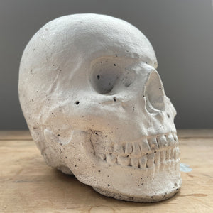 Have a bit of grizzly fun with this White Painted Stone Skull. A nice size and a great decorative look! SHOP NOW - www.intovintage.co.uk