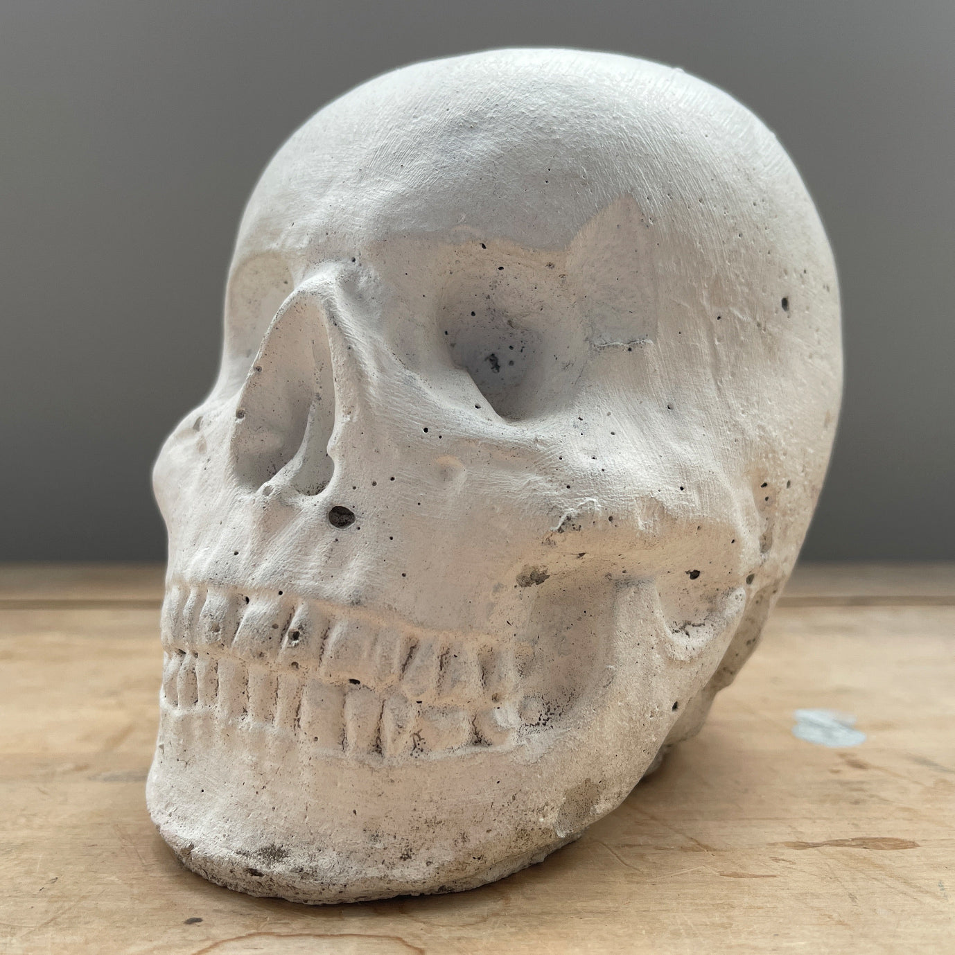 Have a bit of grizzly fun with this White Painted Stone Skull. A nice size and a great decorative look! SHOP NOW - www.intovintage.co.uk