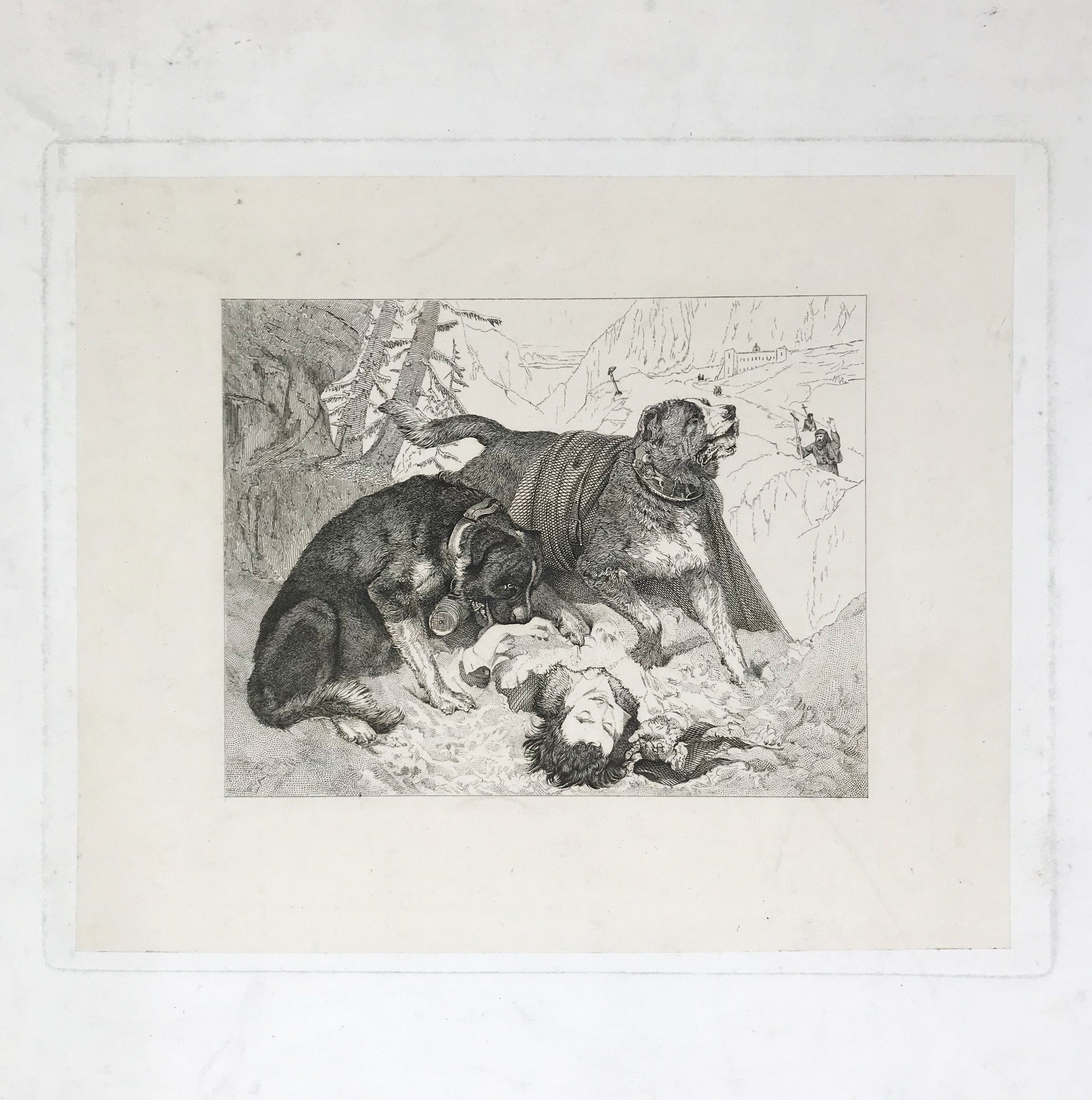 Period Etching of a St Bernard Rescue. Find Antique Etchings & other Antique Prints at IntoVintage.co.uk