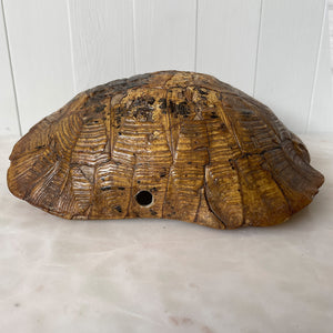 Old Tortoise Shell minus the Tortoise. A nice natural history display item. There are two drilled holes to the sides - SHOP NOW - www.intovintage.co.uk