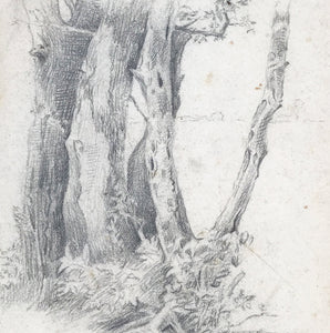 Nice pencil study of tree trunks. Signed 'Tottenham 23/5/19'. Find Art, Antique Etchings & other Antique Prints at IntoVintage.co.uk